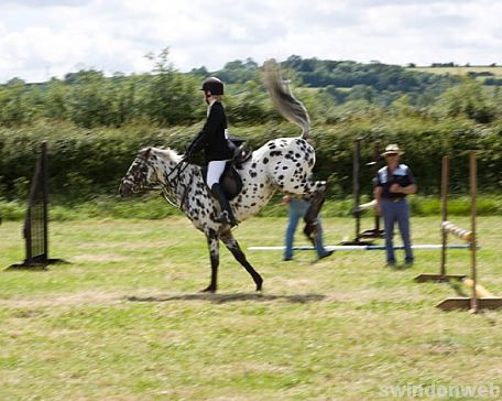 Wanborough Horse and Dog show
